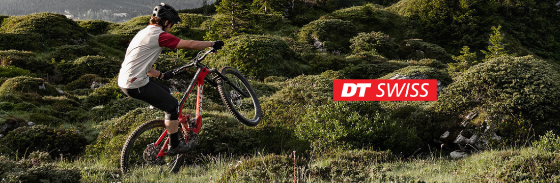 DT Swiss