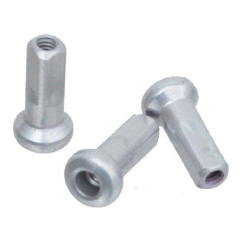 Dt Swiss Spaaknippel Dt Al 14 12Mm Hidden Pl Zilver Ds A 100 - Le Coq Wielerartikelen