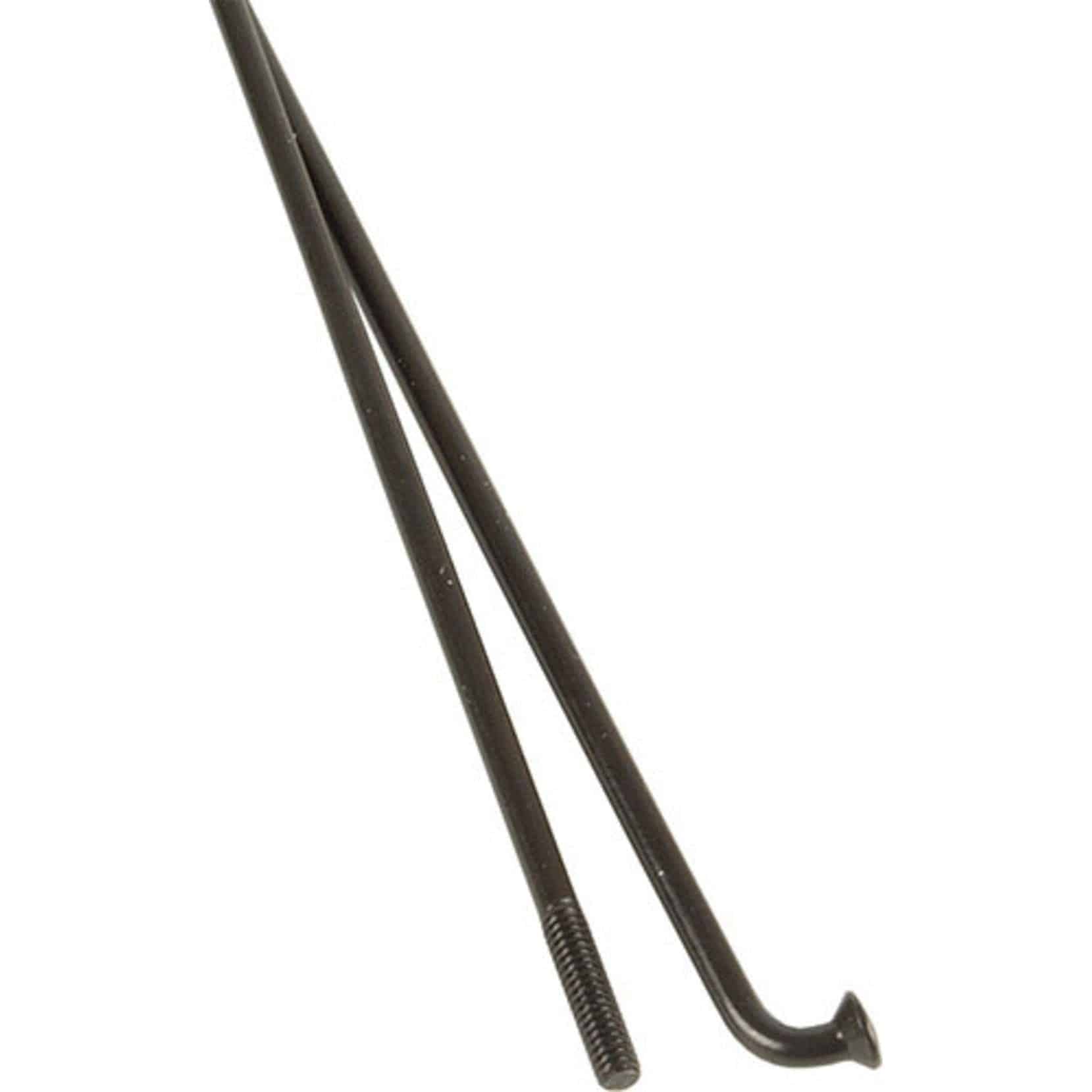 Dt Swiss Spaak 14X256 Dt Champion Zwart Ds A 100 - Le Coq Wielerartikelen