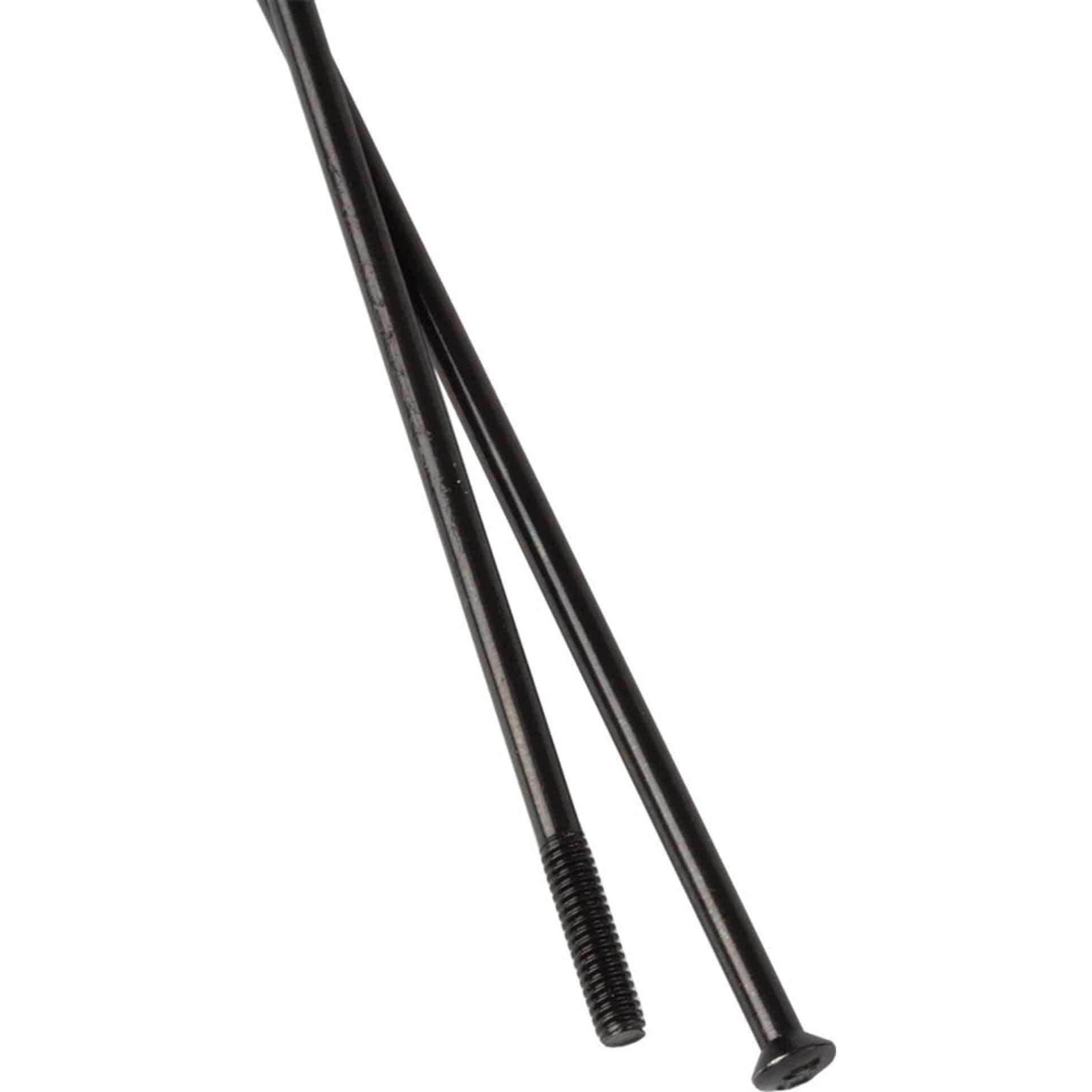 Spaak DT Swiss Champion 14x306mm Straightpull RVS Zwart Doos a 100 Stuks - Le Coq Wielerartikelen