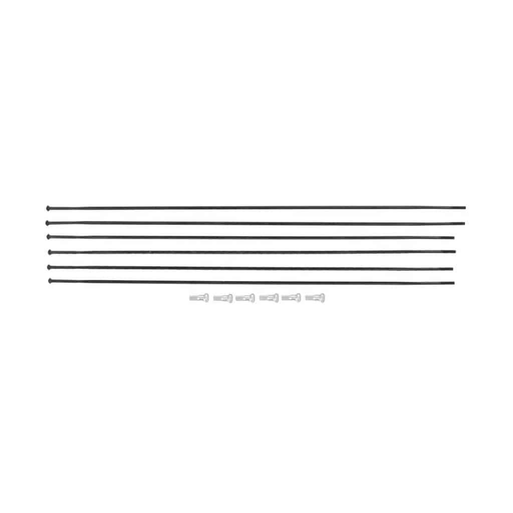 Spaakkit DT Swiss ARC1400 Dicut 48 Voor + Achter Zwart Set a 6 Stuks - Le Coq Wielerartikelen