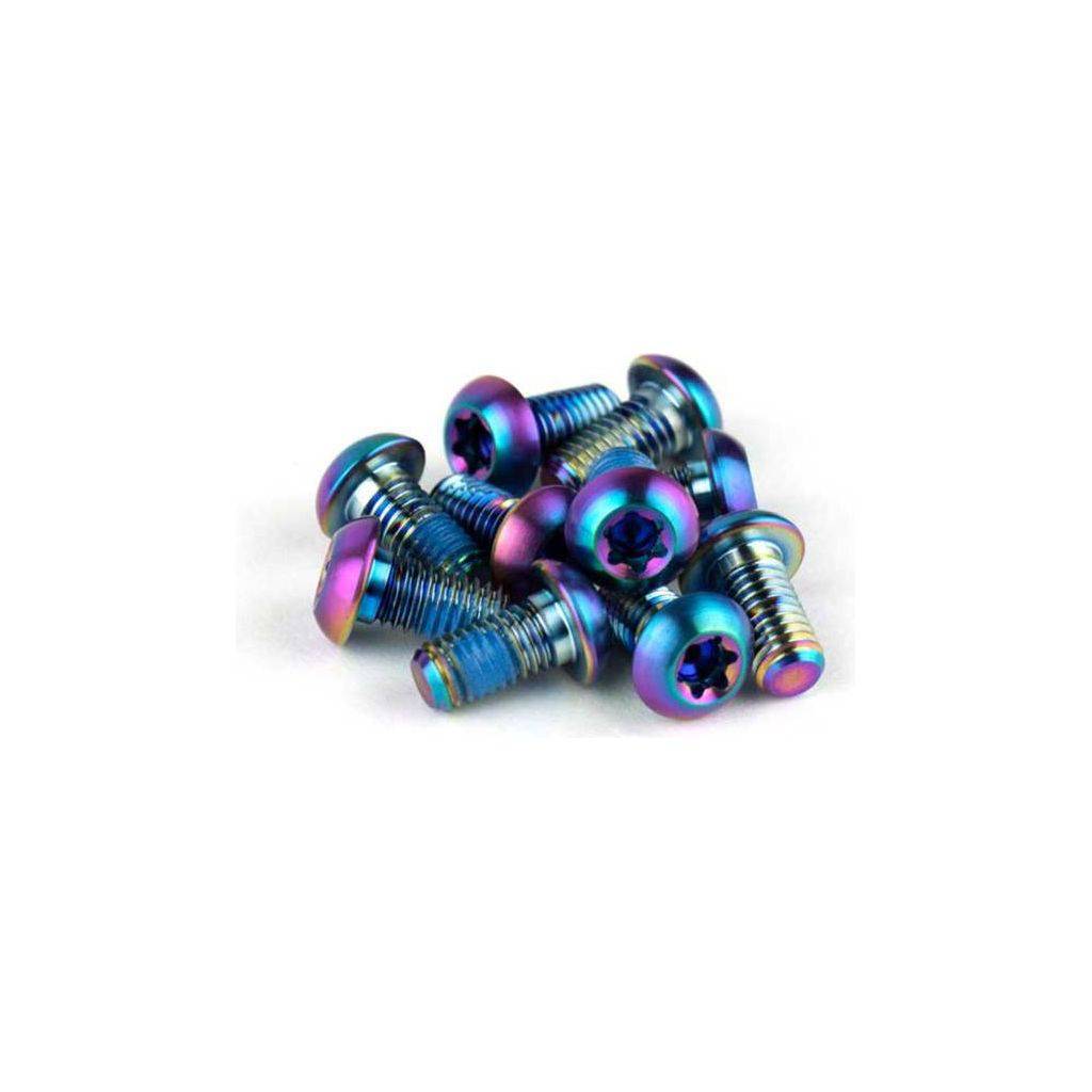 Sram Remd Boutset Disc Tit T25 Regenboog Set A 12 - Le Coq Wielerartikelen