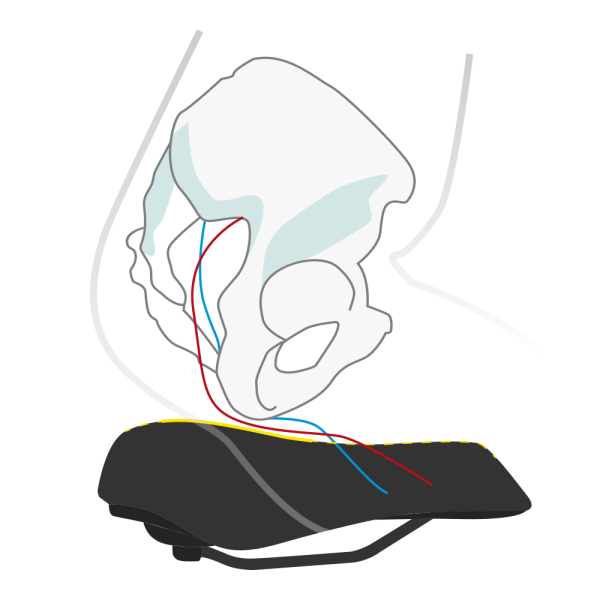 Wittkop Fietszadel Twin Medicus 3.0 City/Trekking - Zwart - Le Coq Wielerartikelen