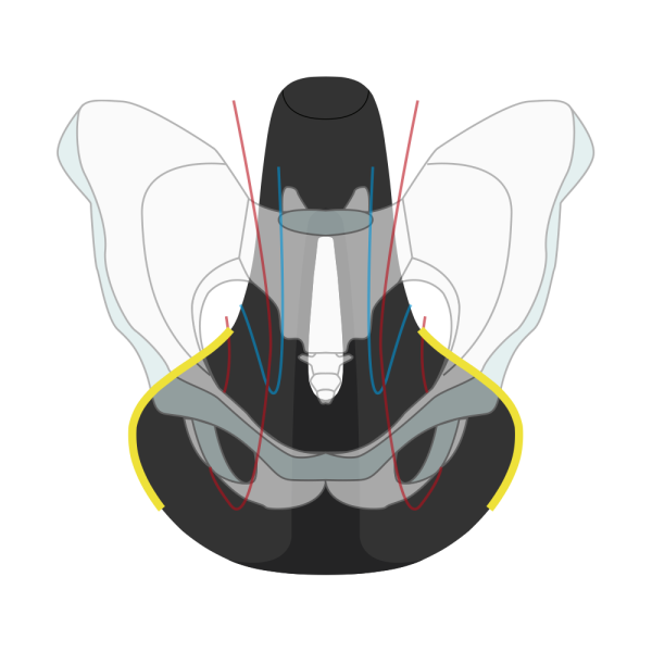 Wittkop Fietszadel Twin Medicus 3.0 City/Trekking - Zwart - Le Coq Wielerartikelen