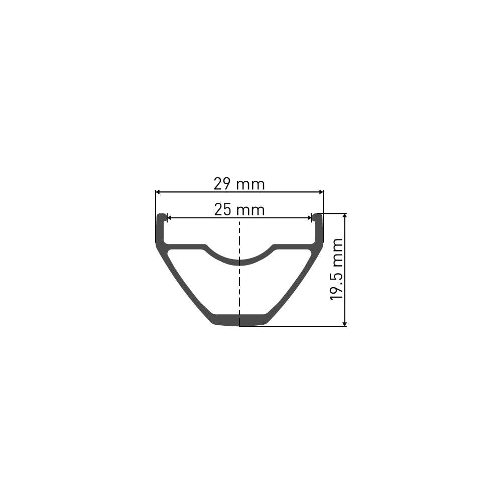 Achterwiel 29" DT Swiss X1900 Spline 25 SH 10/11V Disc CL Aluminium Zwart - Le coq wielerartikelen