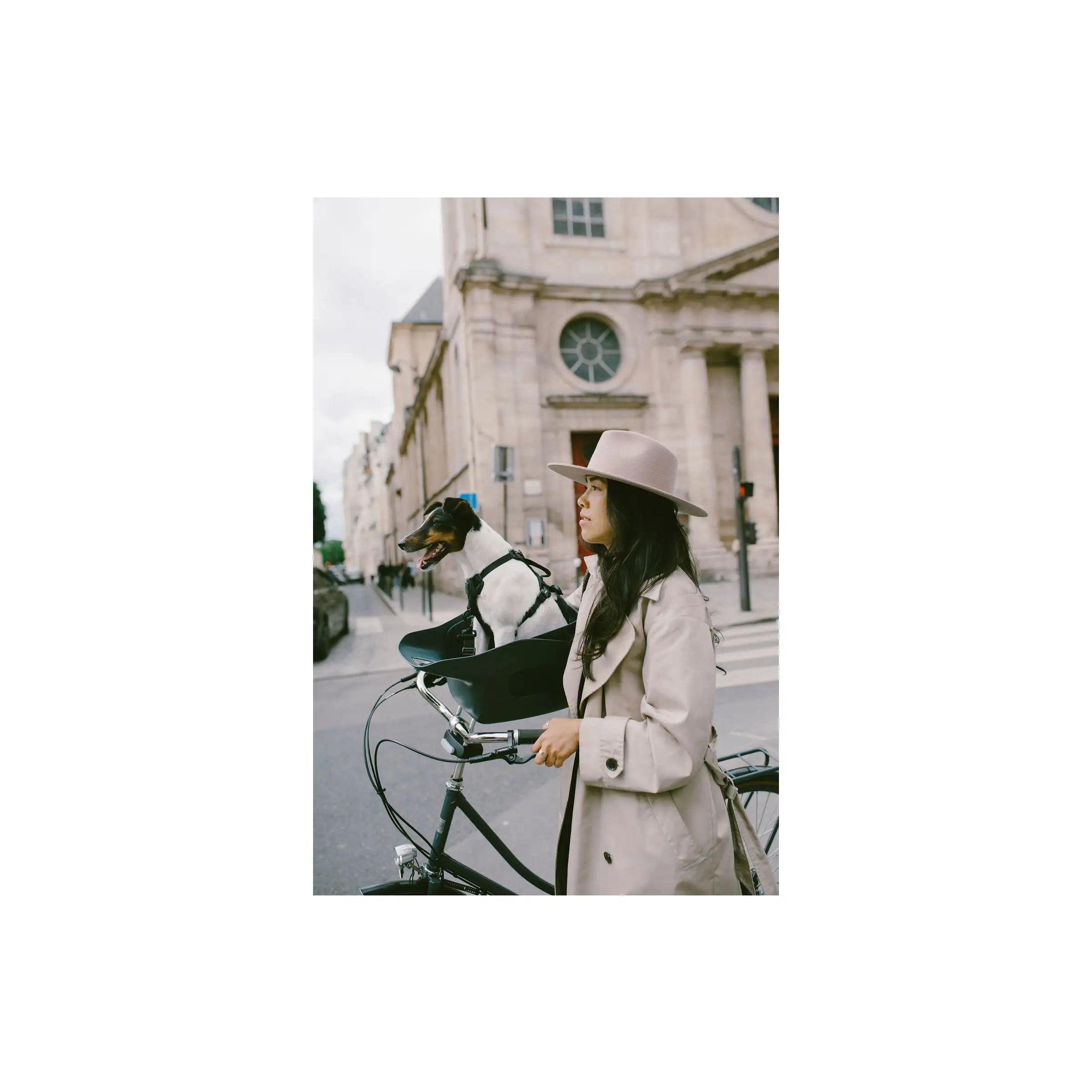 Kvisp Hondenmand Met Harnas M Midnight Gray