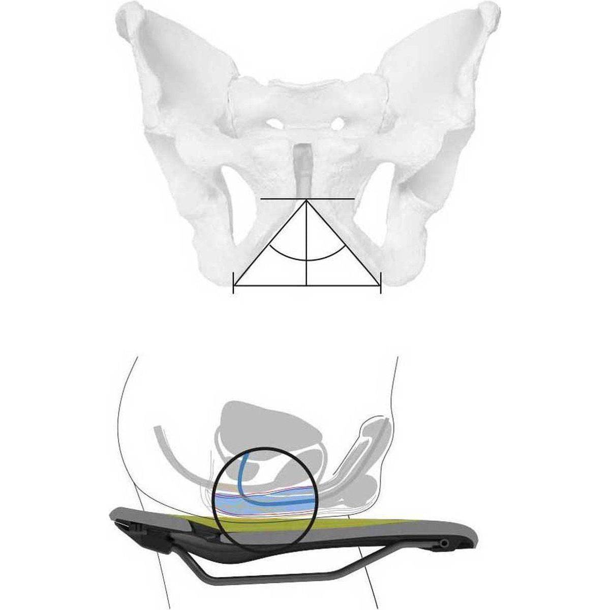 Ergon Fietszadel Sf Heren S/M - Le Coq Wielerartikelen