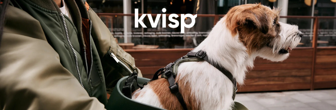 Kvisp