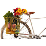 Basil Memories flesmand voor fiets, afneembaar zwart, 35x29x34 cm, stevige fietskrat met praktische handgreep