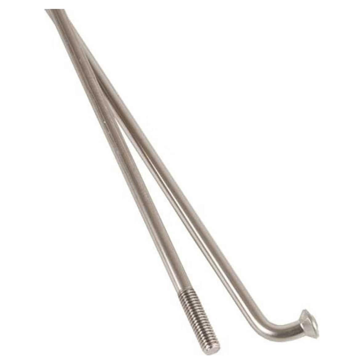 Zilveren DT Swiss Spaak 14X264 Champion DS A 100 voor fiets, zichtbaar liggend op een neutrale achtergrond