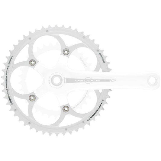 Kettingblad Campagnolo Veloce Fc-Vl450 Compact 10V 50T Steek 110Mm Zilver - Le Coq Wielerartikelen
