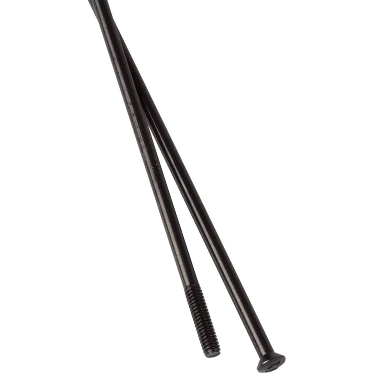Set van 100 zwarte DT Swiss Champion 14x304mm Straightpull roestvrijstalen spaak voor wielbouw, overzicht van de doos en spaakdetails.
