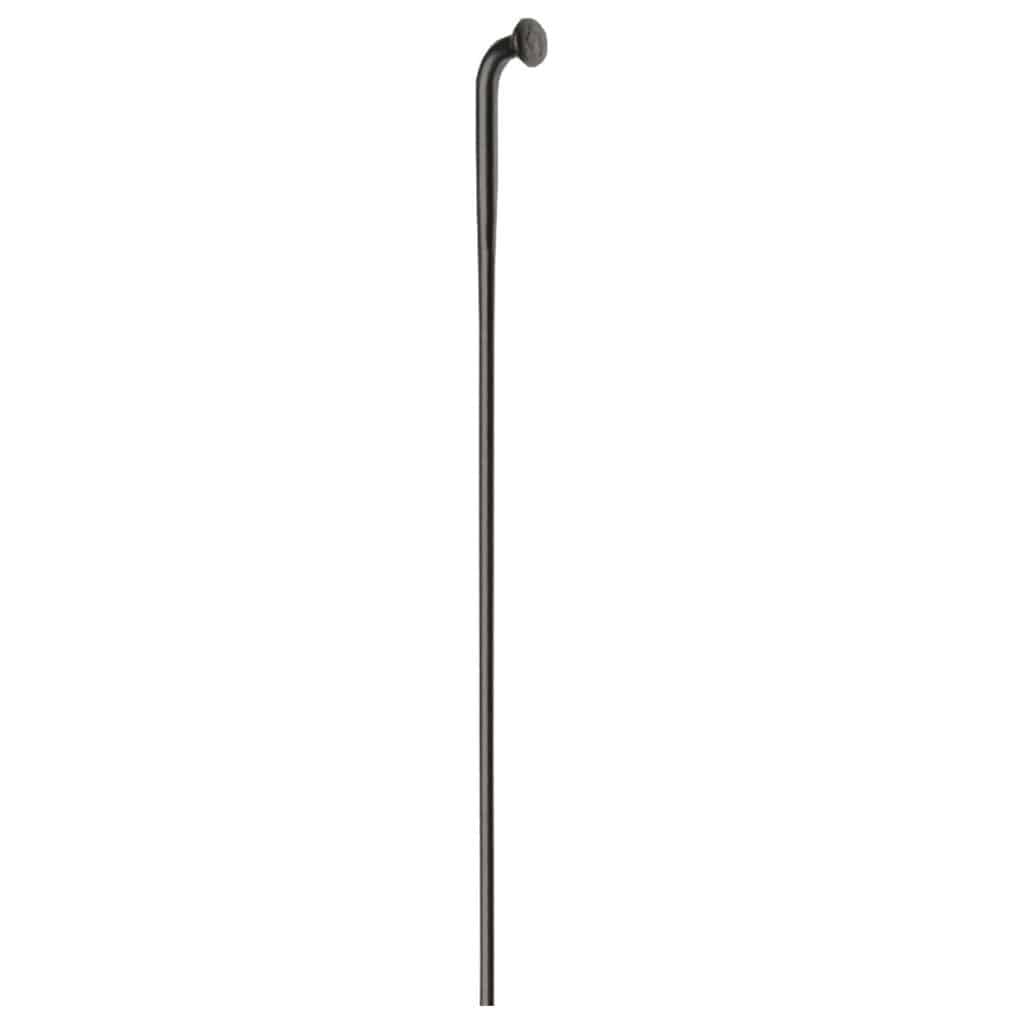 Zwarte DT Swiss Spaak 14x254 mm voor DT Revolution wiel, zichtbaar op de productfoto.