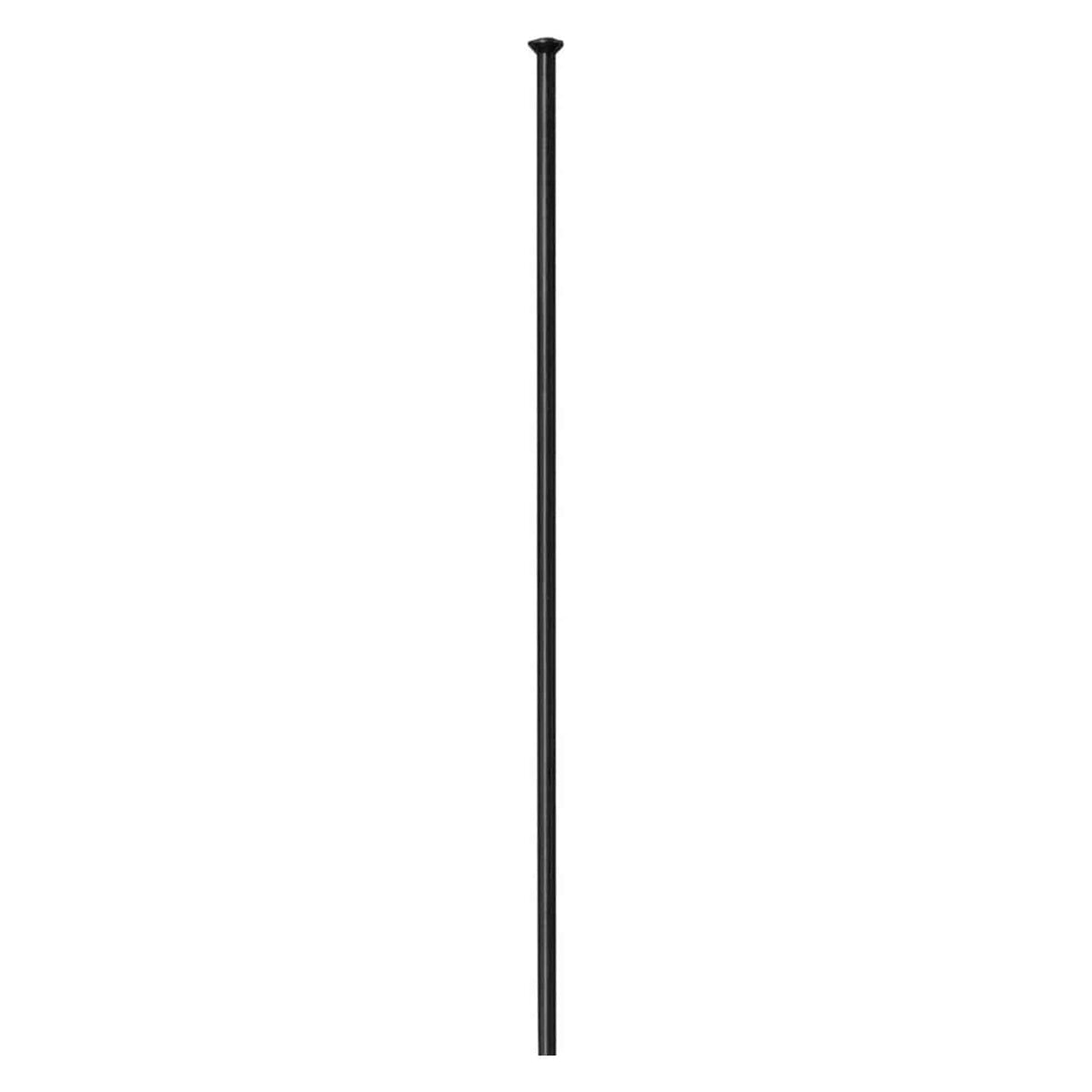 Zwarte DT Swiss Spaak 14x304 mm DT Competition Sp Zwart DS voor racefiets, zichtbaar met professionele afwerking en merklogo