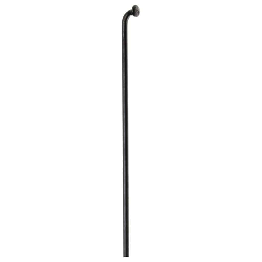 Zwarte DT Swiss Spaak 13X287 DT Champion voor fiets, zichtbare metalen spaak met standaard afmetingen