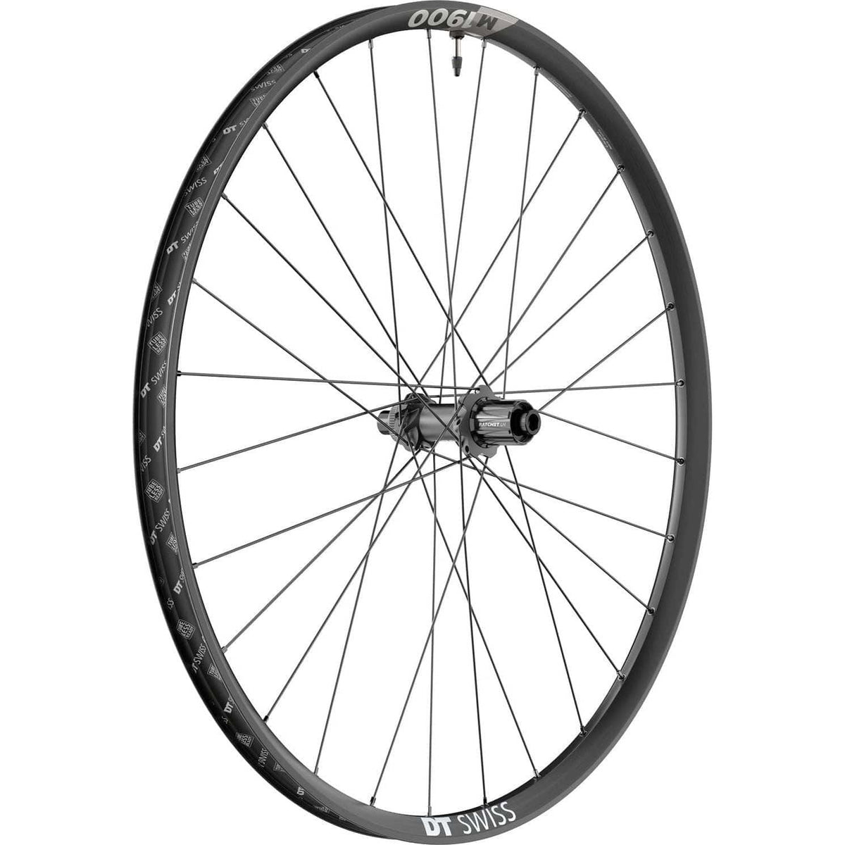 Zwart achterwiel voor MTB, 29" DT Swiss M1900 Spline 30 SH 10/11V Boost Disc, aluminium, stevige fietsaccessoire