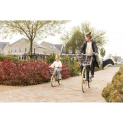 Steco FW2 28-inch voordrager met universele kroonboutbevestiging voor fiets, zwart metalen frame en bevestigingspunten zichtbaar