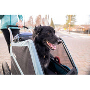 Burley Bark Ranger XL hondenfietskar zwart en blauw met grote 20-inch wielen, geschikt voor honden reizen en wandelingen.