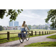 Basil Flair 35 liter waterafstotende dubbele achterfietstas met universele brug voor fietsen