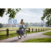 Basil Flair dubbele fietstas van 35 liter met zwart en grijs ontwerp, geschikt voor achterop de fiets, voor dagelijks gebruik.