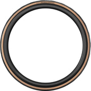Continental 28-inch Grand Prix TR Vouwband racefiets buitenband met tubeless technologie, geschikt voor snelle ritten op asfalt