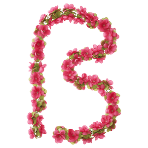 Fuchsie
