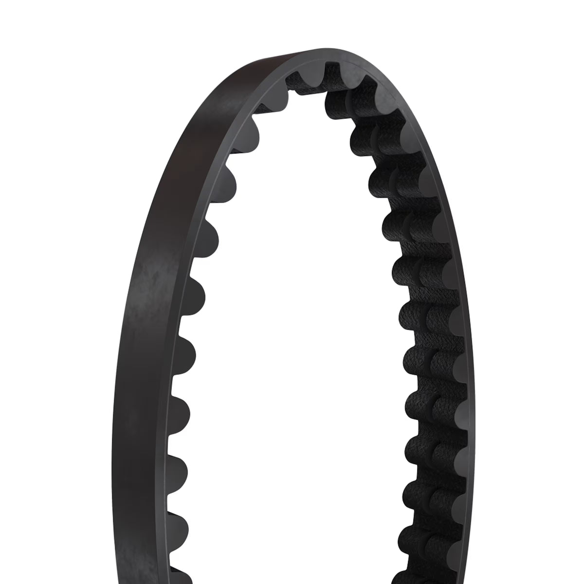 Gates CDN Urban tandemriem van koolstof voor fiets, 11 mm pitch en 12 mm breed, zichtbaar op de afbeelding