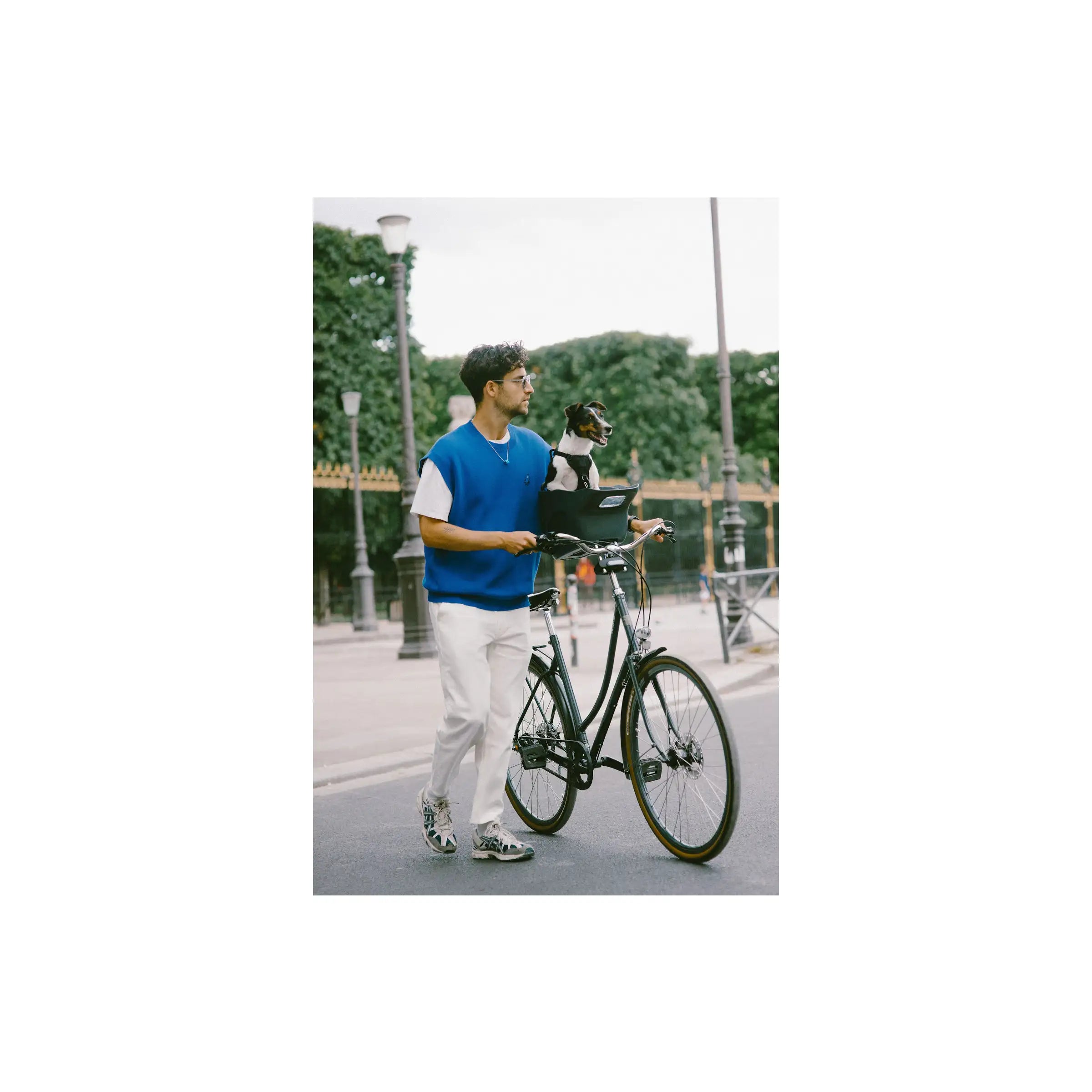 Kvisp Hondenmand Met Harnas M Forest Green