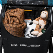 Burley D'lite X enkele fietskar in Sage Green en Charcoal Grey voor kinderen, met ruime zit en veiligheidsgordels.